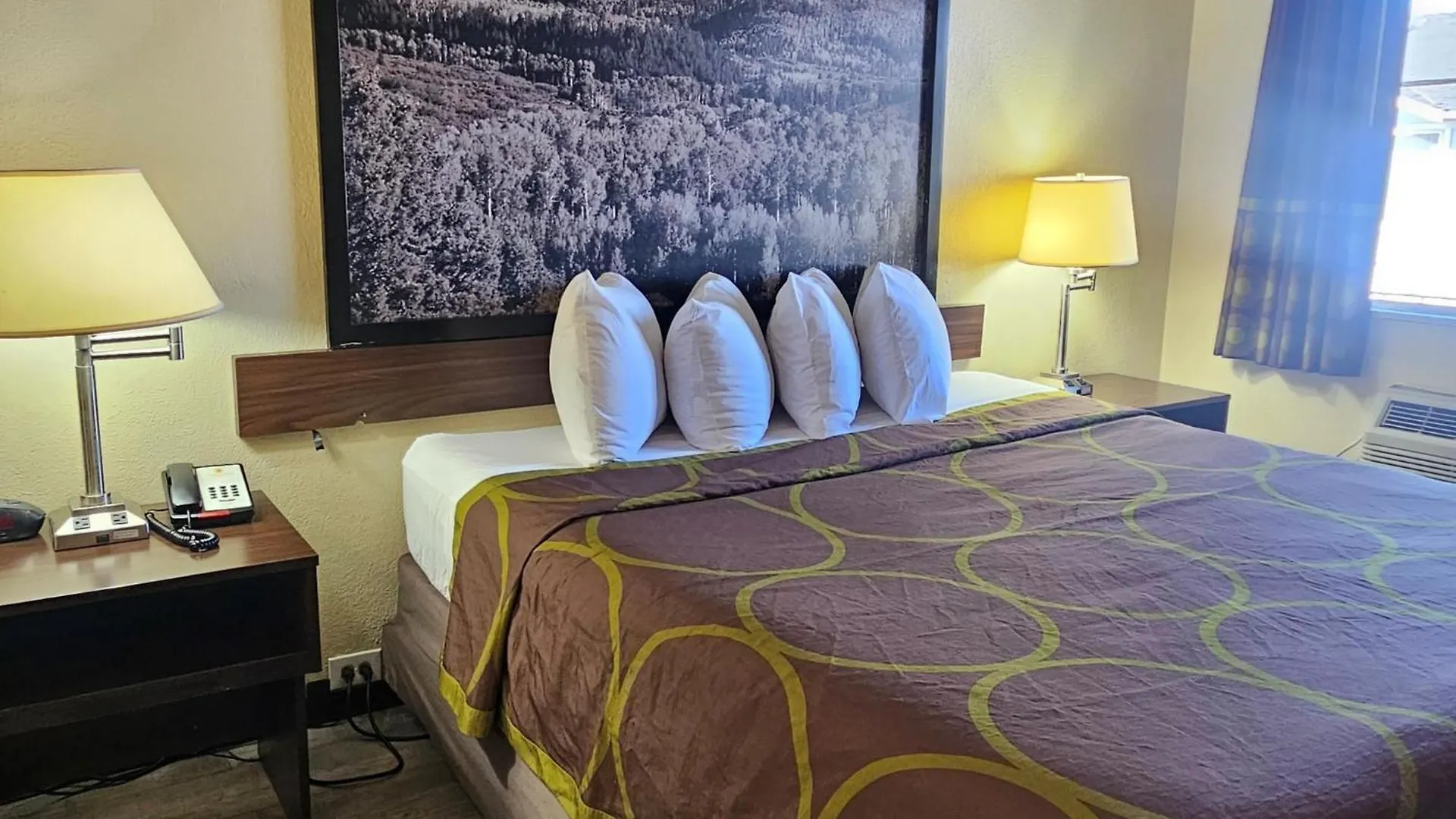 Super 8 By Wyndham Denver Central Stati Uniti
